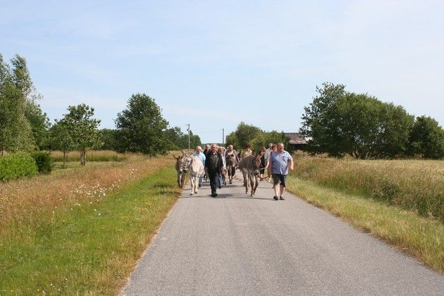 2015-07-06 rando anes (20).JPG